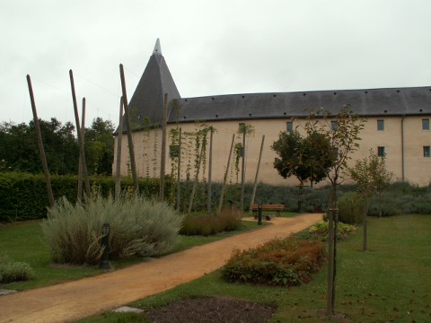 The Beer Museum Garden The Garden