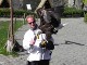 The American Fish Eagle