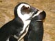 Stop fighting you two