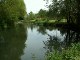 This is St&eacute;phane's garden pond