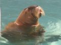 We think this is Boris
