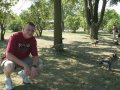 Geese