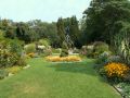 In the gardens
