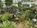 Inside the greenhouse
