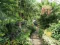 Amongst the plants
