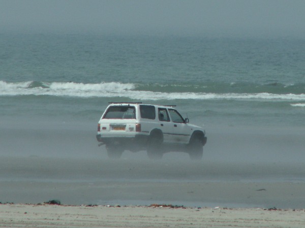 Click on the thumbnails for a larger picture