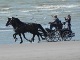 We don't see too many carriages