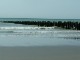 The mussel beds