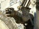 Gargoyle - from the French: to gargle