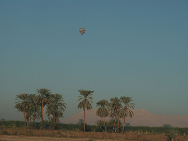 Click on the thumbnails for a larger picture