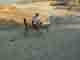 En redescendant la vall�e des Nobles