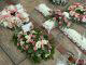 Some of the flowers