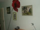 The poppy in place