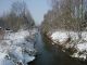 Along the river bank