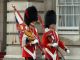 Coldstream and Grenadier Guards