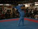 Martial arts demonstration