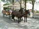 Old style transport