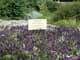 Joan of Arc's place of execution