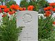 A blaze of poppies for Sgt William Murray