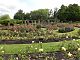 The Rose Gardens in Botanic