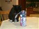 Meanwhile Stump makes friends with tins of salmon