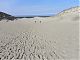 The grey dunes are immense and constantly shifting