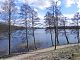 Lakes and woodland surround the peninsular