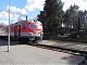 My train and a cemetery. Who could want for more on a holiday