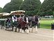 An alternative way to visit the royal gardens
