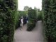 Navigating the Maze