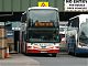 The Dublin to Belfast Express. This driver has just the one dog to his credit !
